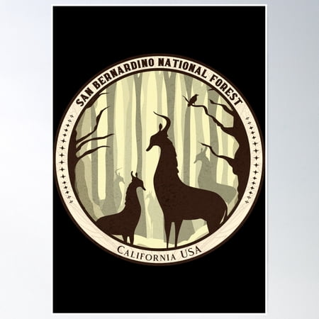San Bernardino National Forest Mystical Deer Poster Wall Art Home Decor Office Wall Art