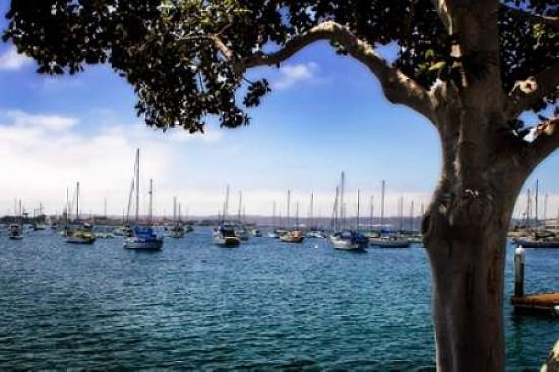 San Diego Que IV Canvas Art - Alan Hausenflock (20 x 28)