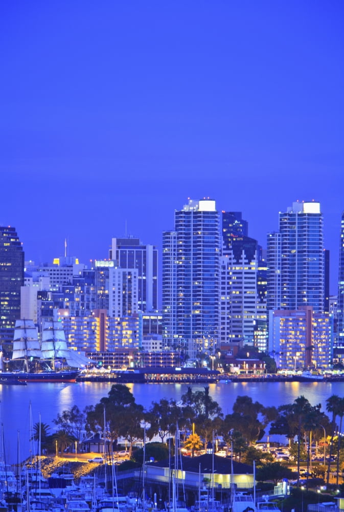 San Diego Skyline And Harbour Island Boats In The Foreground San Diego California United States of America Canvas Art - Stuart Westmorland Design Pics (24 x 36)