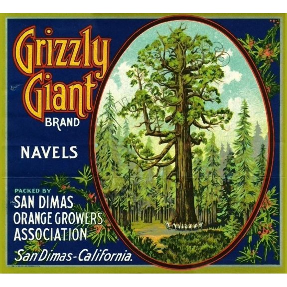 San Dimas Grizzly Giant Yosemite Orange Citrus Fruit Art Print Home Decor Office Wall Art