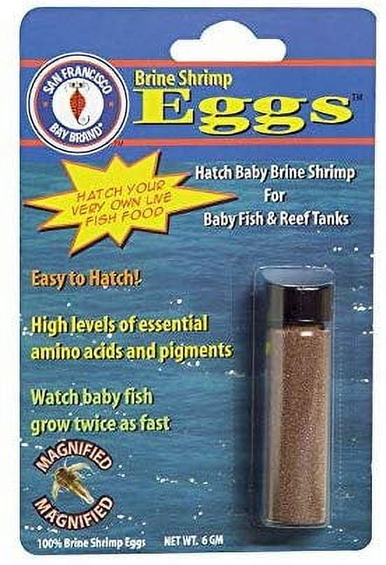 Brine Shrimp Eggs