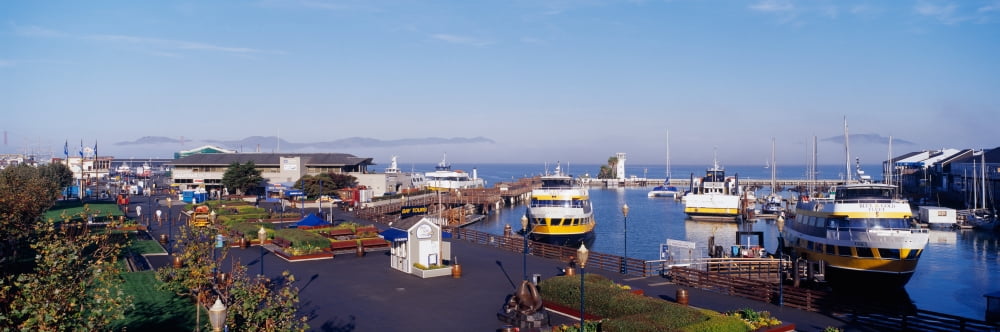 San Francisco CA Canvas Art - Panoramic Images (36 x 12)