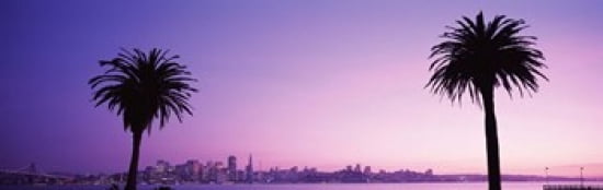San Francisco California USA Canvas Art - Panoramic Images (36 x 12)