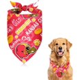 thumbnail image 1 of San Francisco Football Pet Reversible Dog Bandana Gifts for Dogs Cats Cotton Triangle Bid Scarf for Puppy Small Dog, 1 of 6