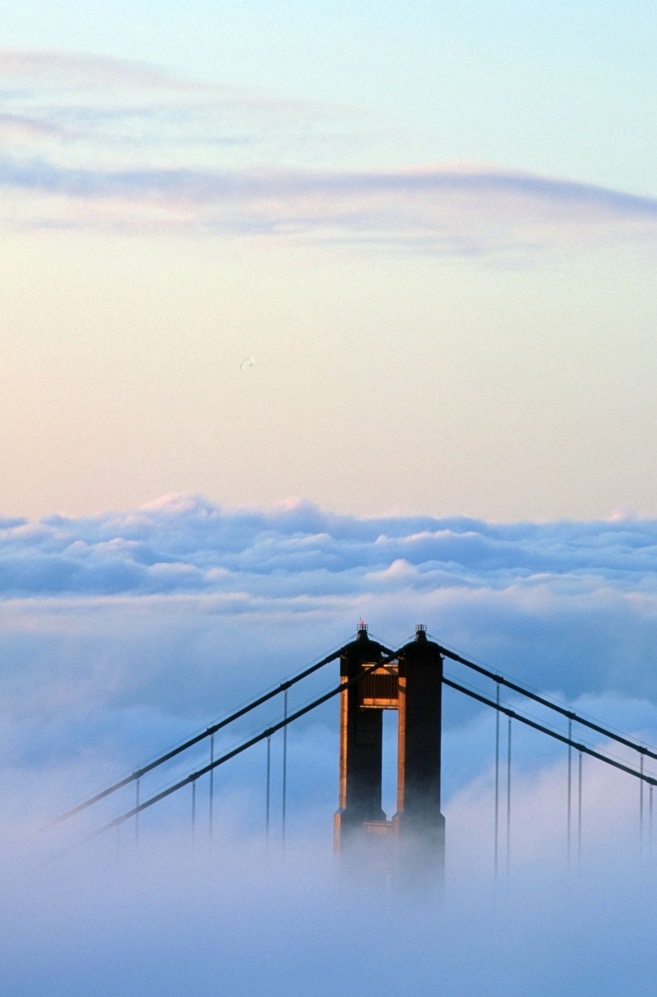 San Francisco Golden Gate Bridge Morning Fog Ca Canvas Art - Ron Watts Design Pics (11 x 17)