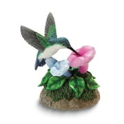 San Francisco Music Box Co. Hummingbird Musical Figurine QGM22055