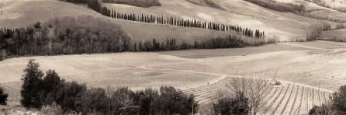 San Gimignano Italia Canvas Art - Alan Blaustein (8 x 24)