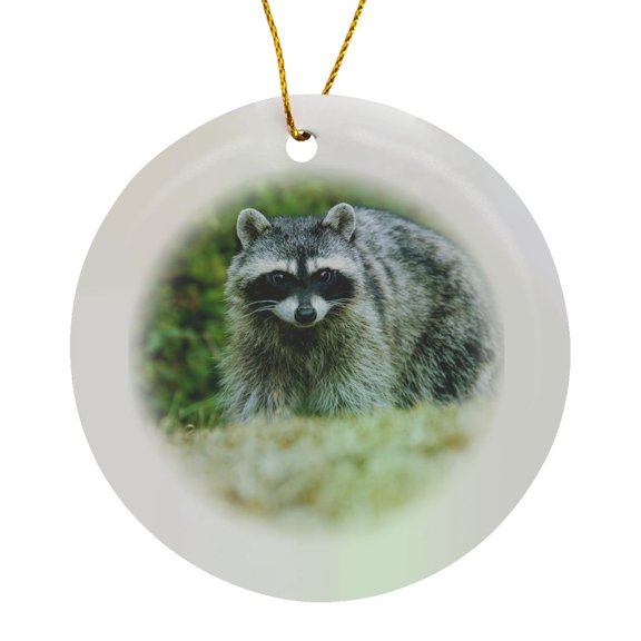 3drose, San Juan Island, Wa, Usa. Common Raccoon,walking in a Field., Circle Porcelain Ornament