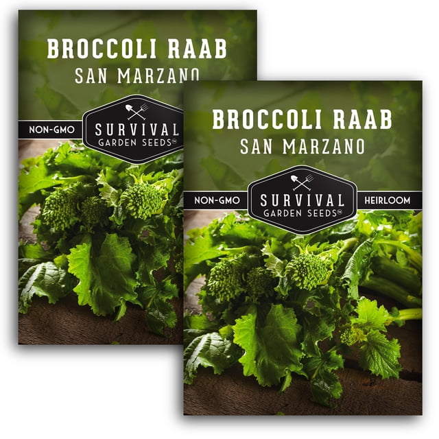San Marzano Broccoli Raab Seeds - Biennial Full Sun Vegetable - 2 Packs ...