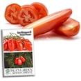 thumbnail image 1 of San Marzano II Italian Tomato (Solanum lycopersicum) Seeds - 100+ Non-GMO Heirloom Seeds for Planting by Isla's Garden Seeds, Perfect for Home Gardens, 1 of 6