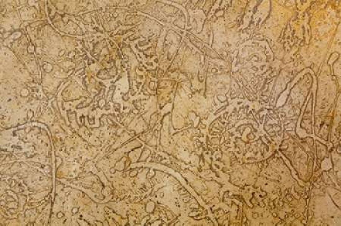 San Miguel Fossils II Canvas Art - Kathy Mahan (12 x 18)
