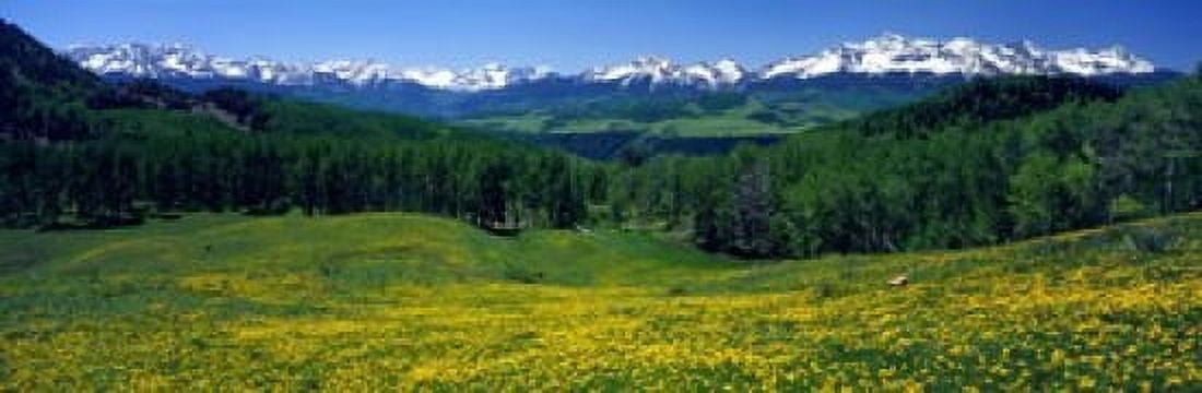 San Miguel Mountains In Spring Colorado USA Canvas Art - Panoramic Images (18 x 6)