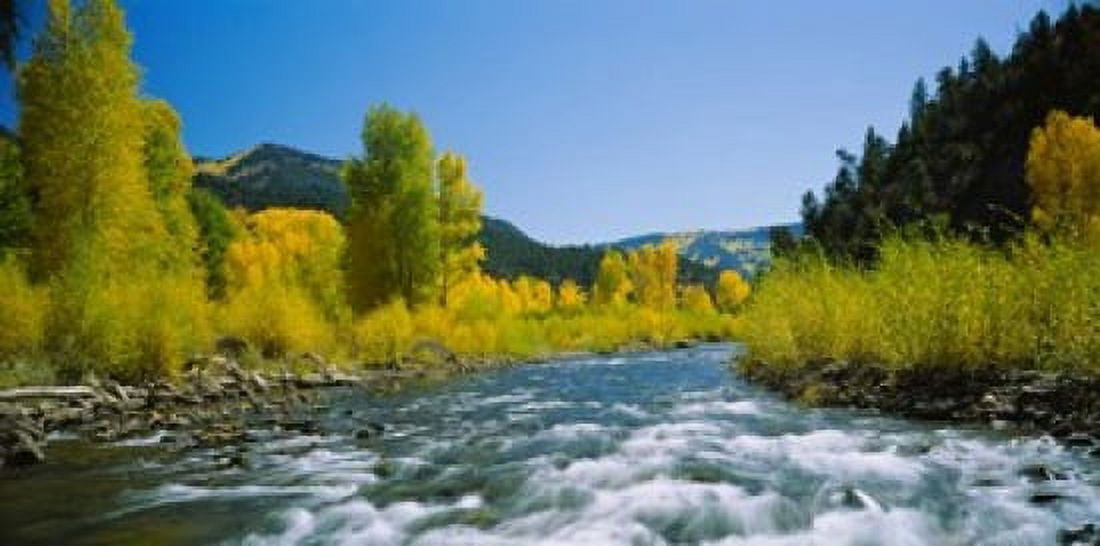 San Miguel River Colorado Canvas Art - Panoramic Images (25 x 12)