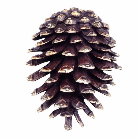 SPI Home 30746 Pinecone Doorknocker