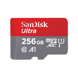 Nintendo Switch 本体 microSD 256GB付き SanDisk マイクロsdカード microSDXC 256GB for Nintendo Switch