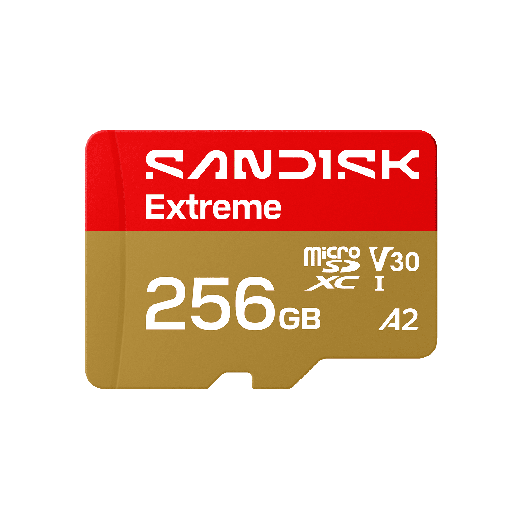 SanDisk Extreme PRO 64 GB CFexpress Card Type B - 1 Pack, 1