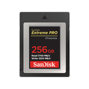 SanDisk 256GB Extreme PRO CFexpress Memory Card Type B - SDCFE-256G-ANCNN