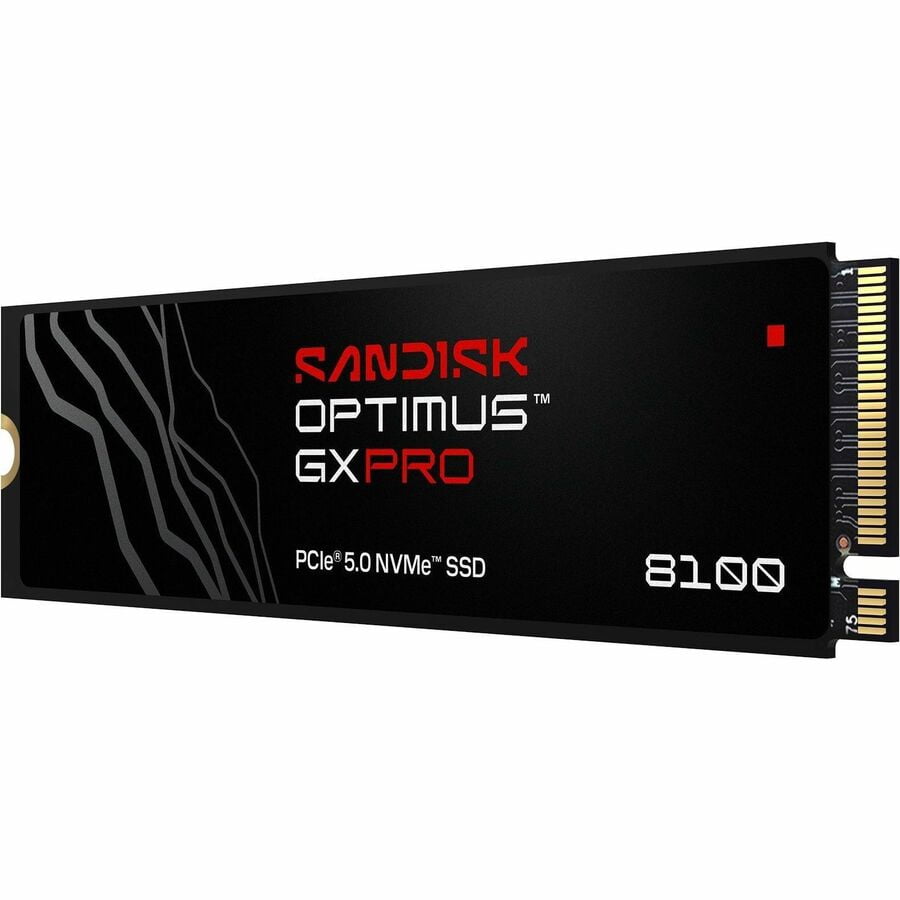 SanDisk SSDS