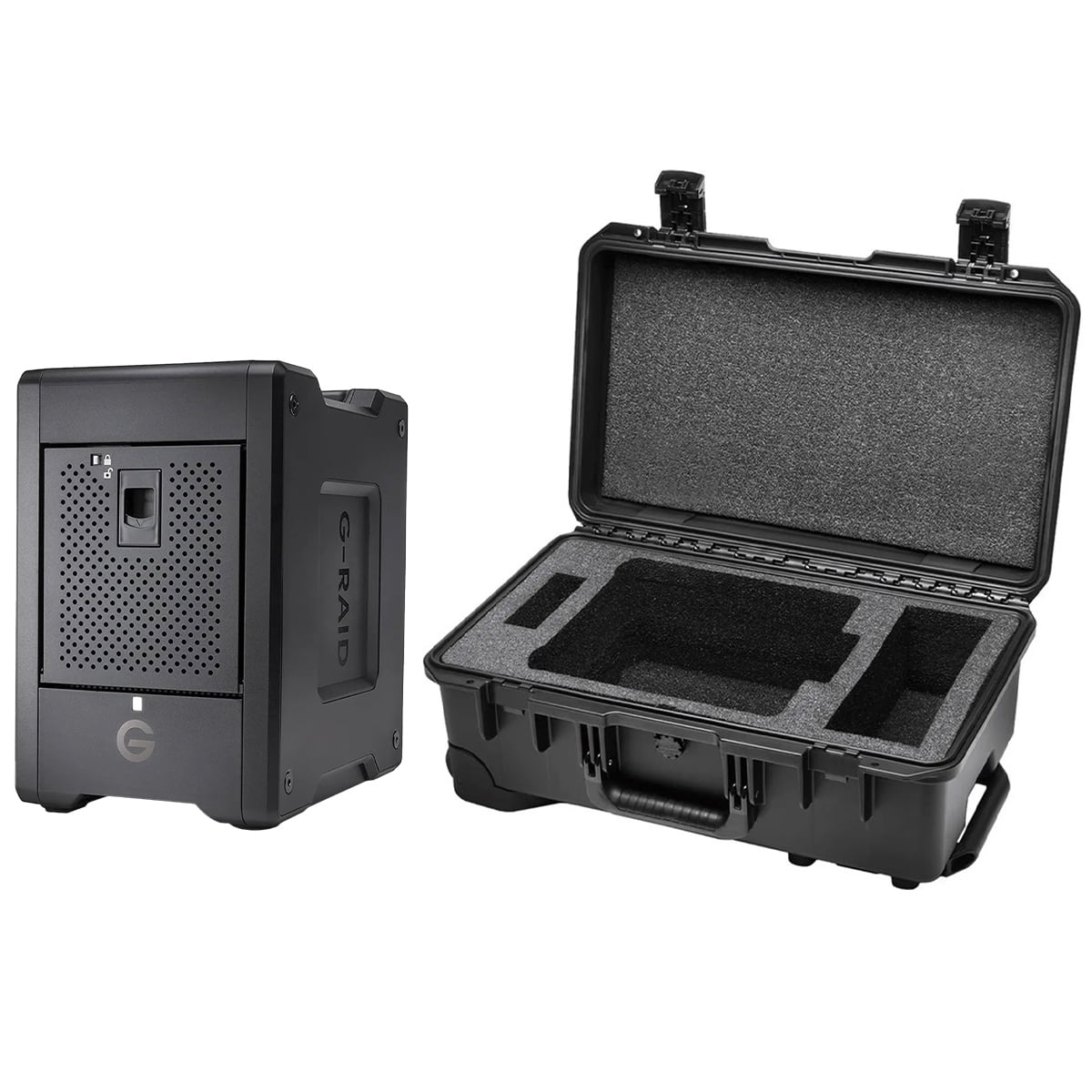 Wd Thunderbolt Raid