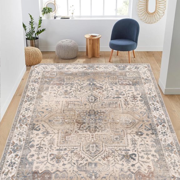 Sanamdrola Area Rugs for Living Room 4x6 ft Carpet Washable Rug Bedroom Decor Boho Non Slip for Kitchen Entryway Bathroom Bedroom Office
