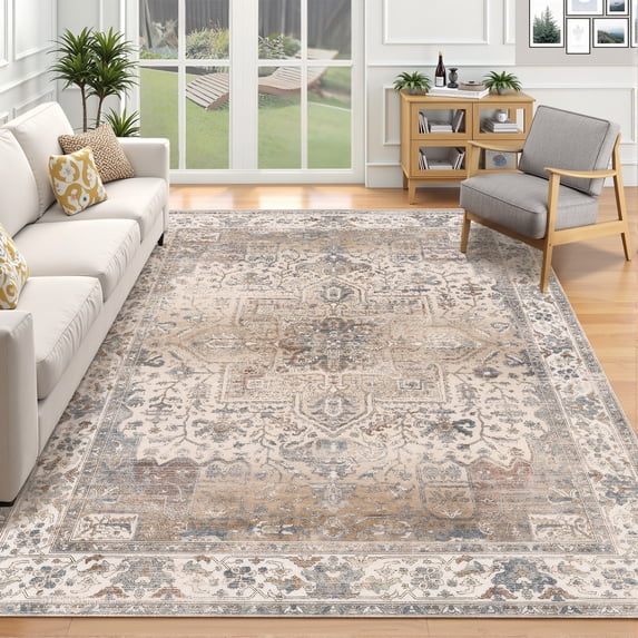Sanamdrola Area Rugs for Living Room 6x9 ft Carpet Washable Rug Bedroom Decor Boho Non Slip for Kitchen Entryway Bathroom Bedroom Office