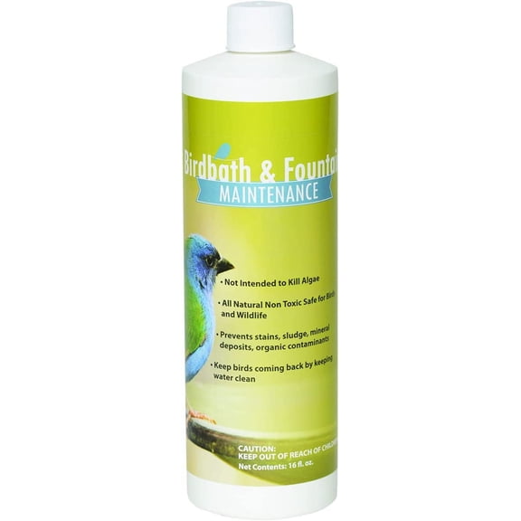 Sanco Bird Bath & Fountain Maintenance, Fast-Acting Enzyme-Based Formula Will Extend The Life of Your Water Feature, Aid in Maintaining a Balanced Ecosystem, 16 oz