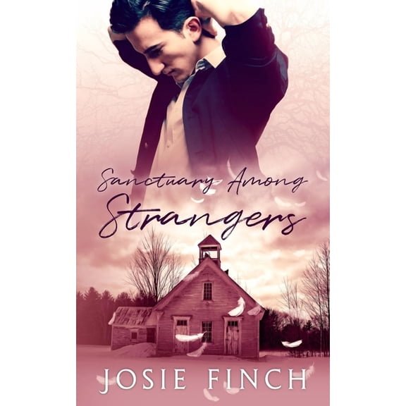 Sanctuary Among Strangers (Paperback)