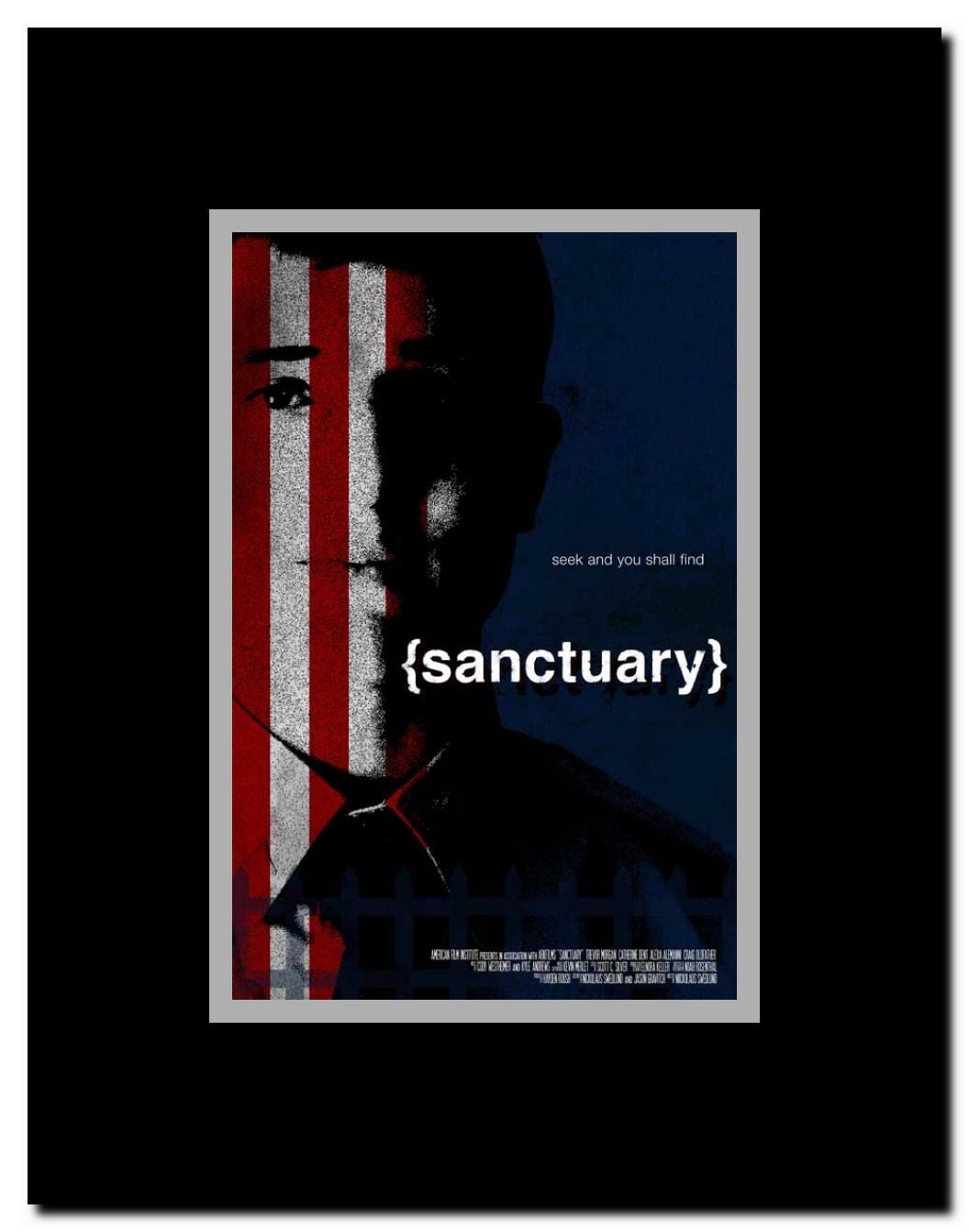 Sanctuary Framed Movie Poster