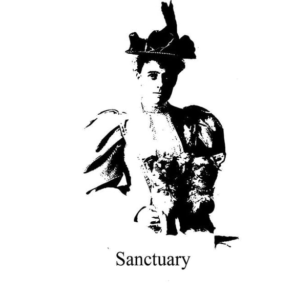 Sanctuary (Paperback)
