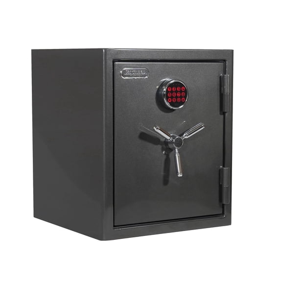 Sanctuary Platinum 3.32 cu. ft. Fire/Waterproof Home & Office Safe w/ Electronic Lock, Dark Metallic Gray Finish