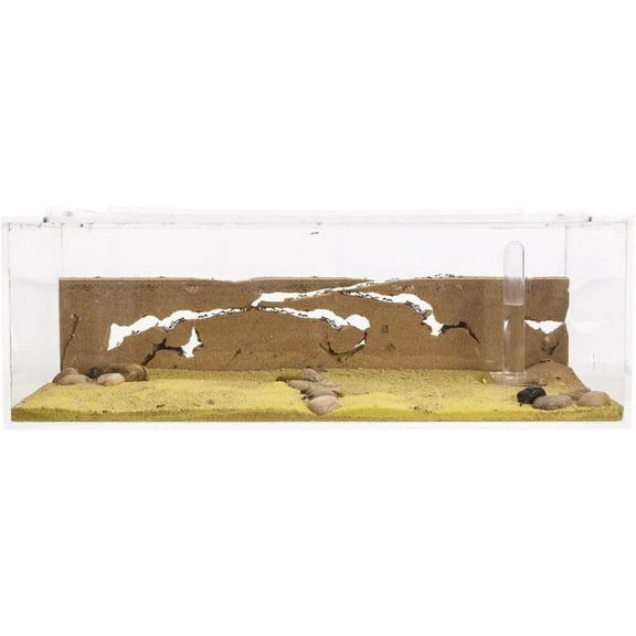 Sand Ant Farm BIG - Anthill, Formicarium, Educational, Ants -