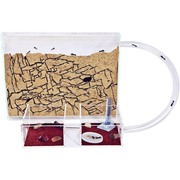 Sand Ant Farm Medium (Anthill, Formicarium, Educational, Ants)