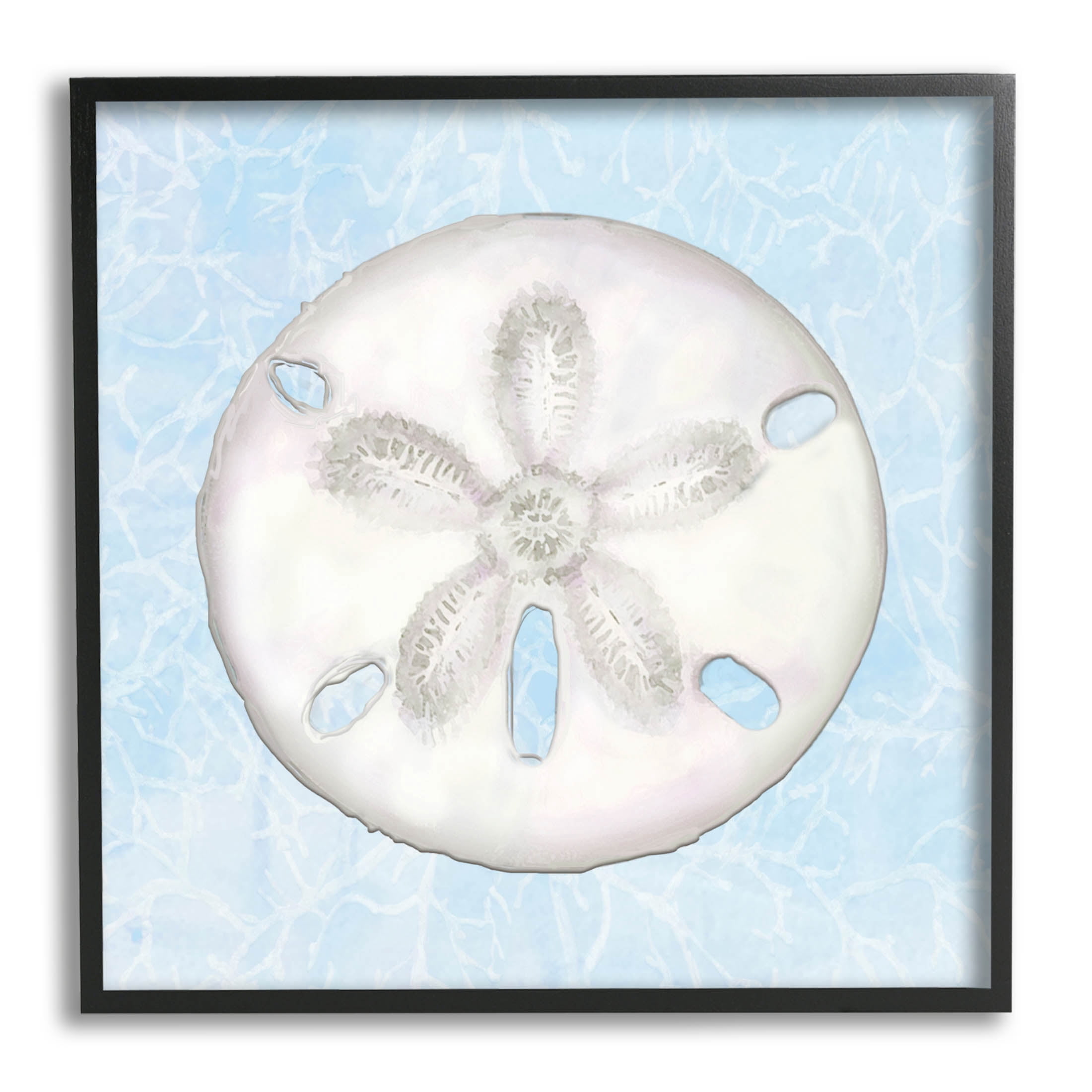 Sand Dollar Aquatic Waves Pattern Animals & Insects Graphic Art Black Framed Art Print Wall Art