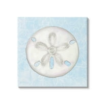 Sand Dollar Aquatic Waves Pattern Animals & Insects Graphic Art Gallery Wrapped Canvas Print Wall Art