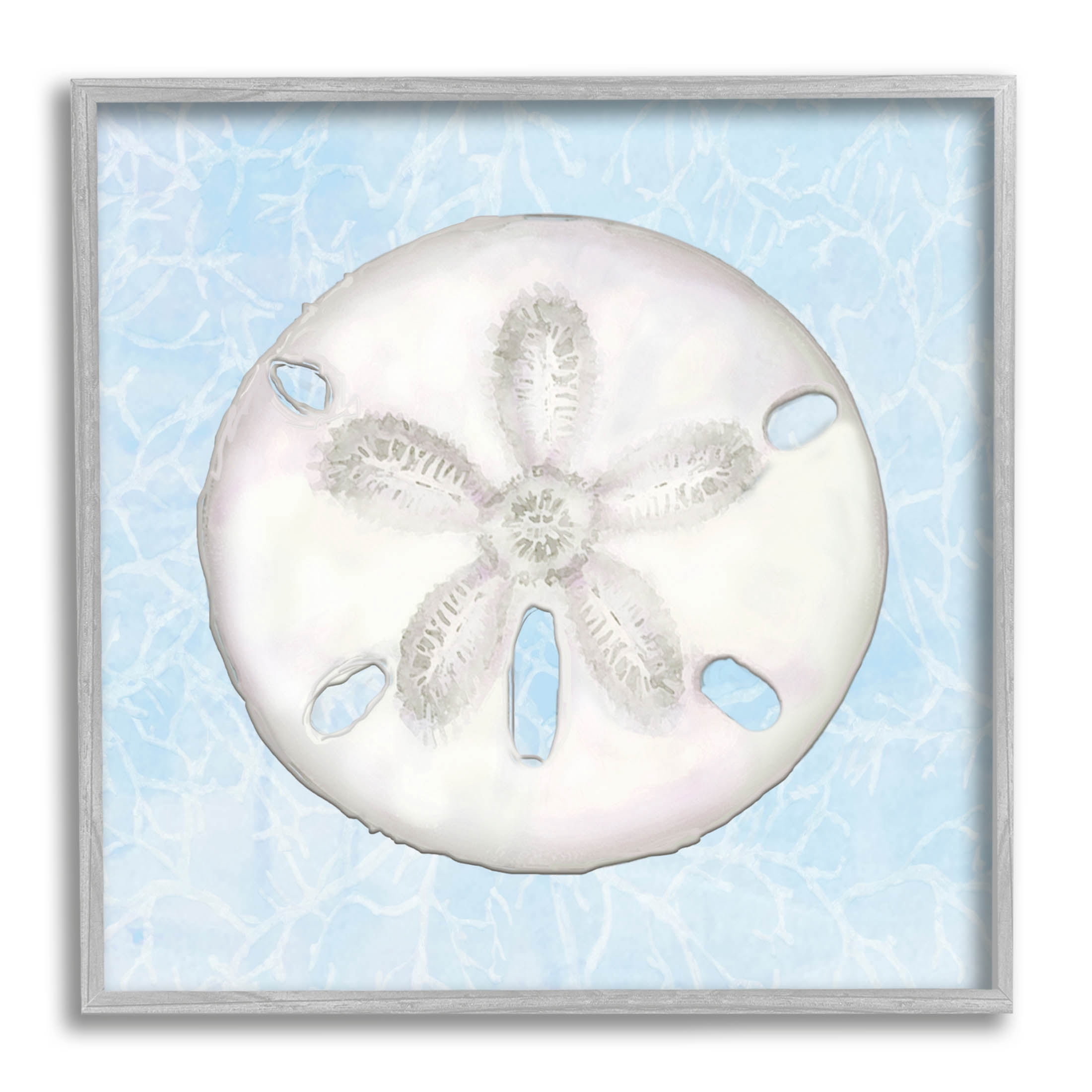 Sand Dollar Aquatic Waves Pattern Animals & Insects Graphic Art Gray Framed Art Print Wall Art