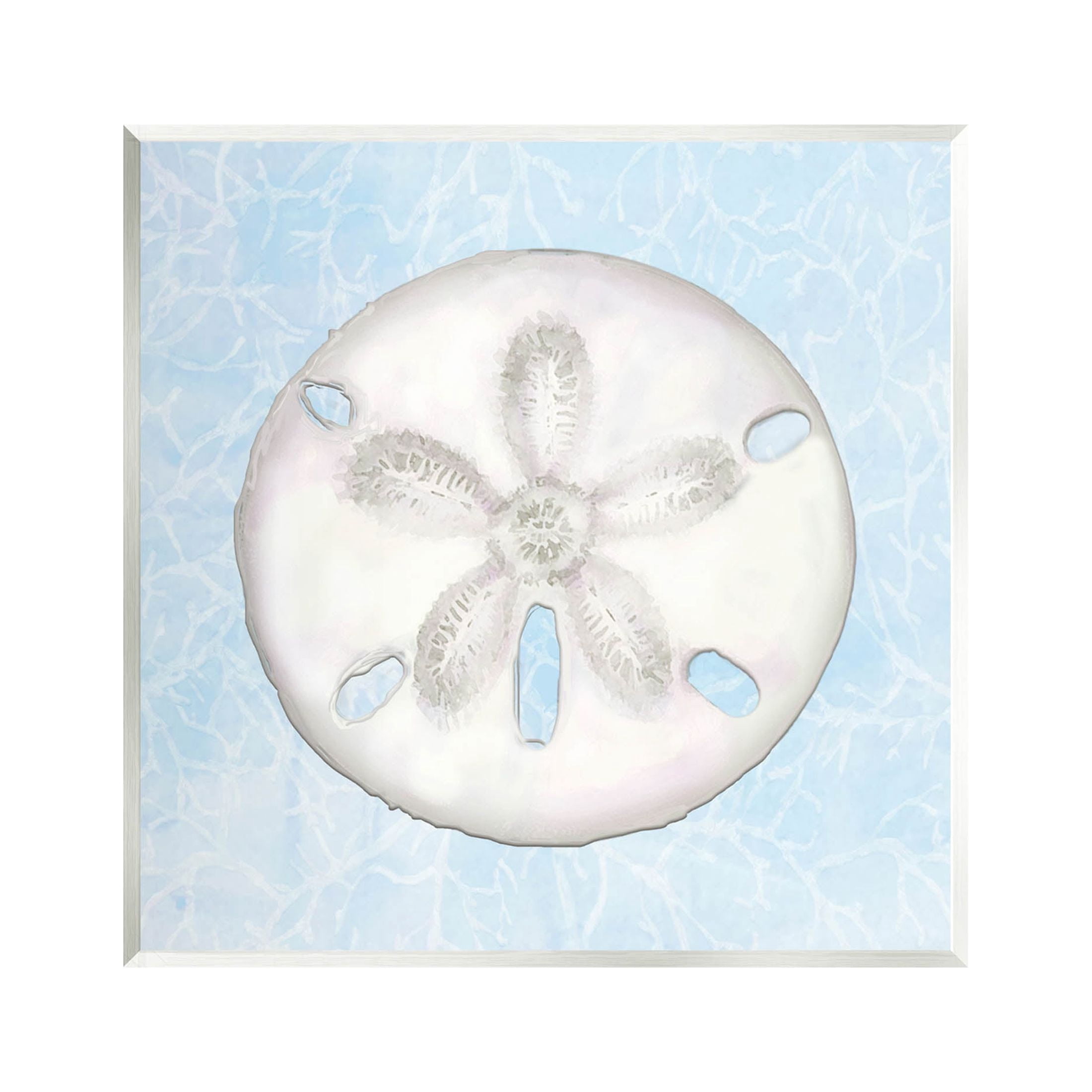 Sand Dollar Aquatic Waves Pattern Animals & Insects Graphic Art Unframed Art Print Wall Art