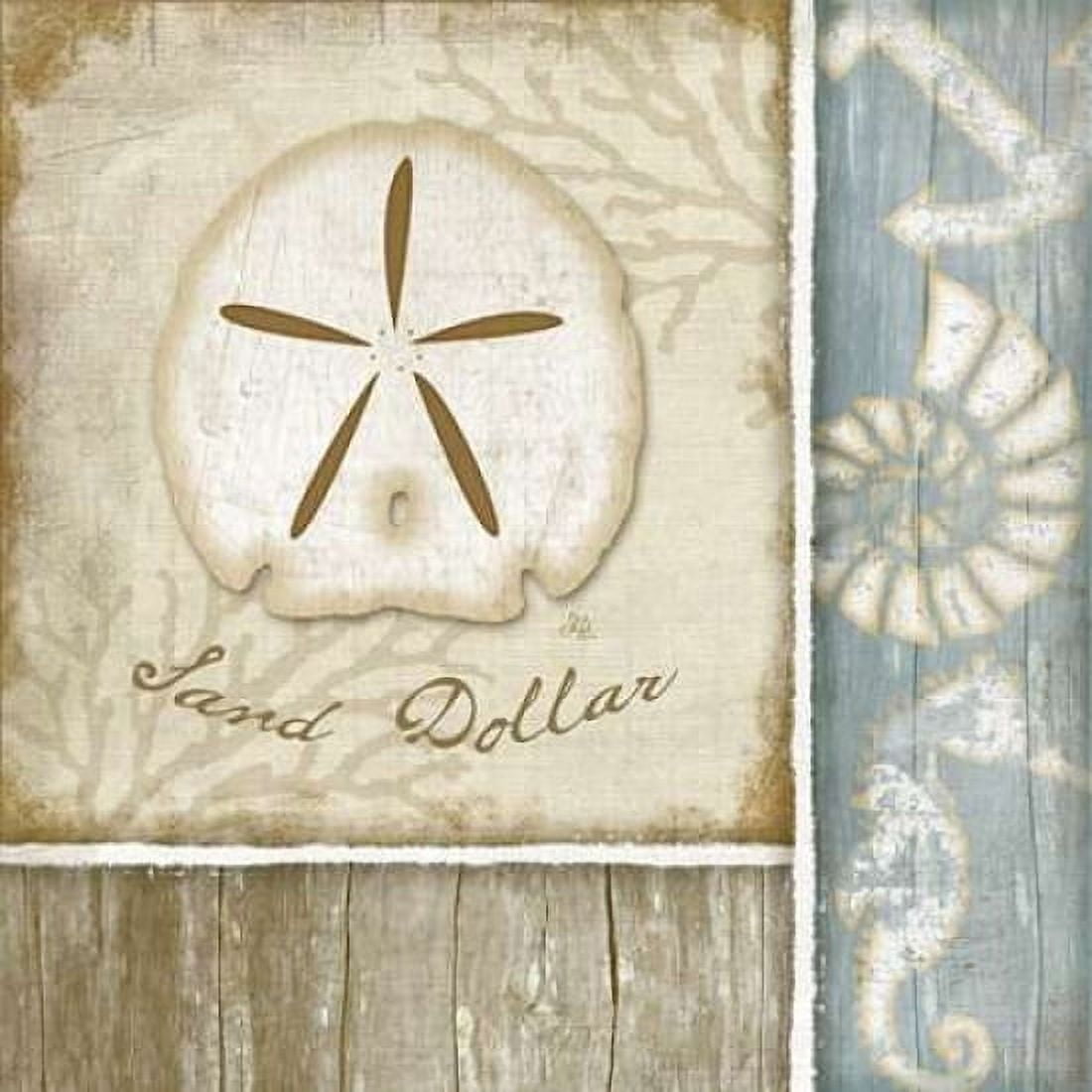 Sand Dollar Canvas Art - Jennifer Pugh (24 x 24)