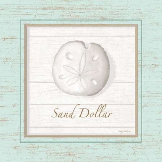 Sand Dollar Canvas Art - Kathy Middlebrook (24 x 24)
