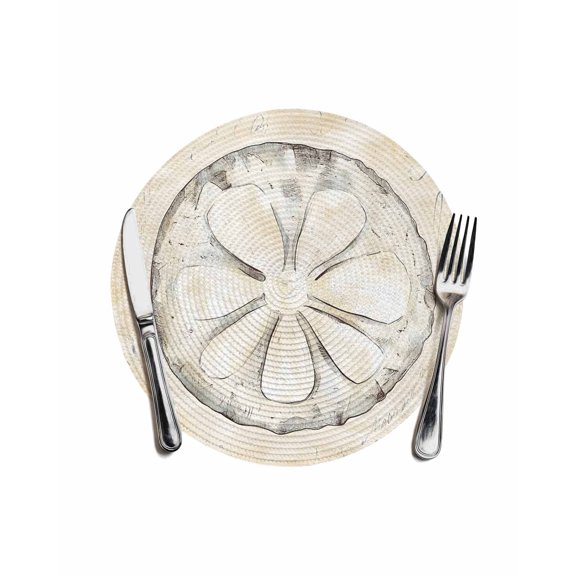 Sand Dollar Coastal Round Placemats for Dinning Tables, Heat-proof Braided Table Mats 13 Inch, Summer Beach Beige Sea Washable Place Mat for Kitchen Restaurant Party Decor Supplies Table Setting