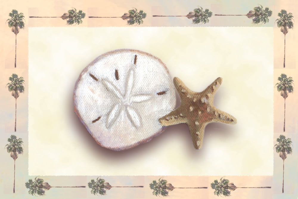 Sand Dollar and Starfish Canvas Art - Lin Seslar (12 x 18)