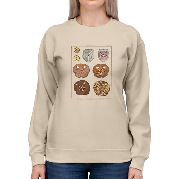 Sand Dollars Ii Sweatshirt Women -Denis Diderot Designs, Female x-Large