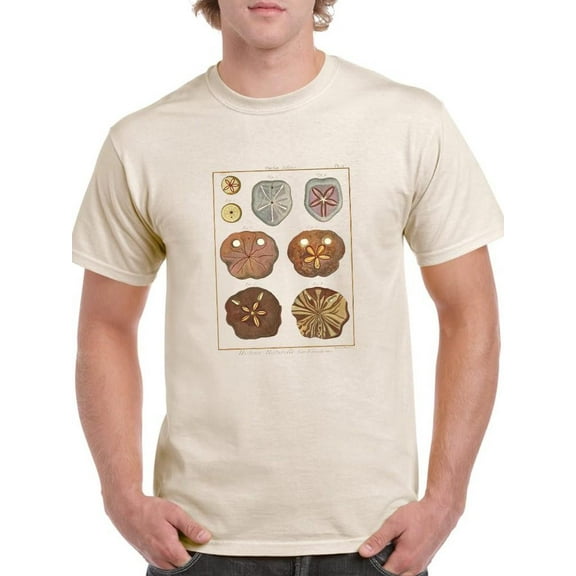 Sand Dollars Ii T-Shirt Men -Denis Diderot Designs, Male Large