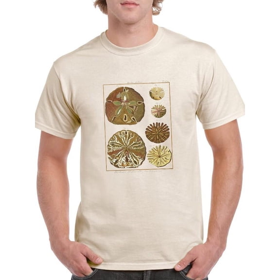 Sand Dollars Iii T-Shirt Men -Denis Diderot Designs, Male 3X-Large
