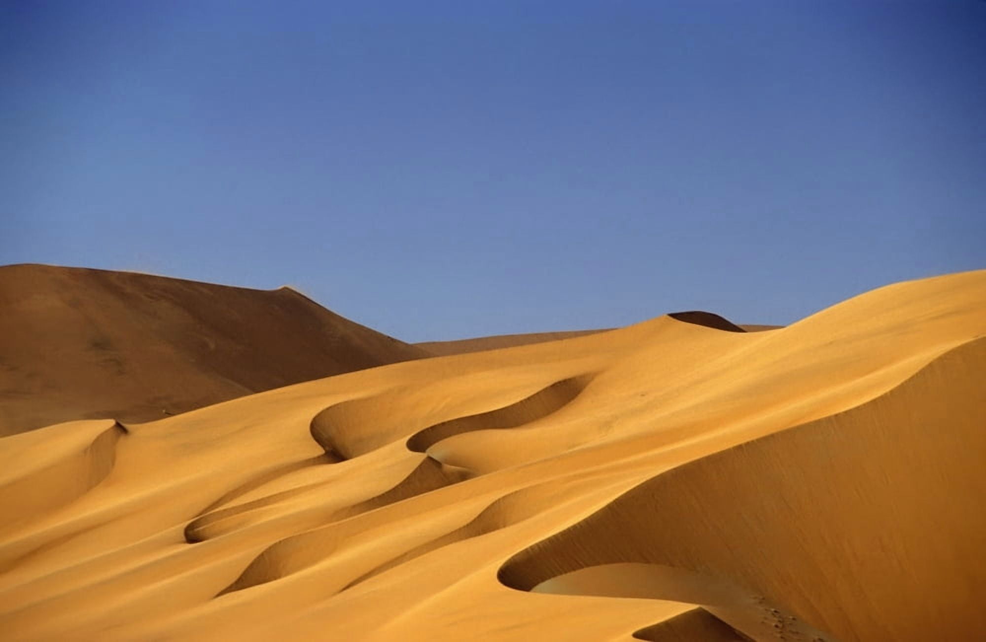 Sand Dune Against Clear Sky In Namib-Naukluft National Park Canvas Art - George Wright Design Pics (19 x 12)