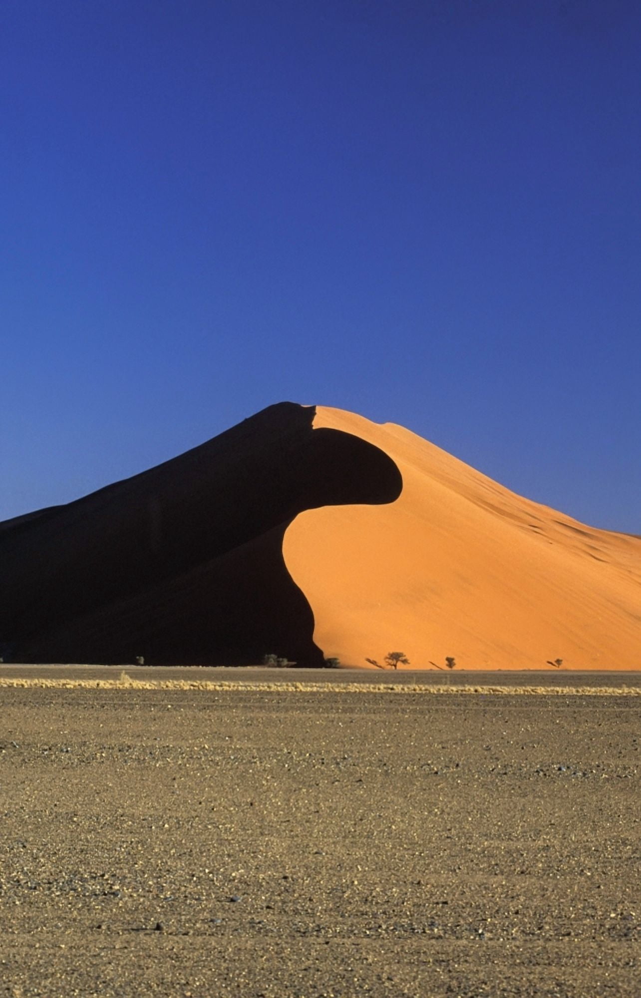 Sand Dune And Field Canvas Art - George Wright Design Pics (12 x 19)