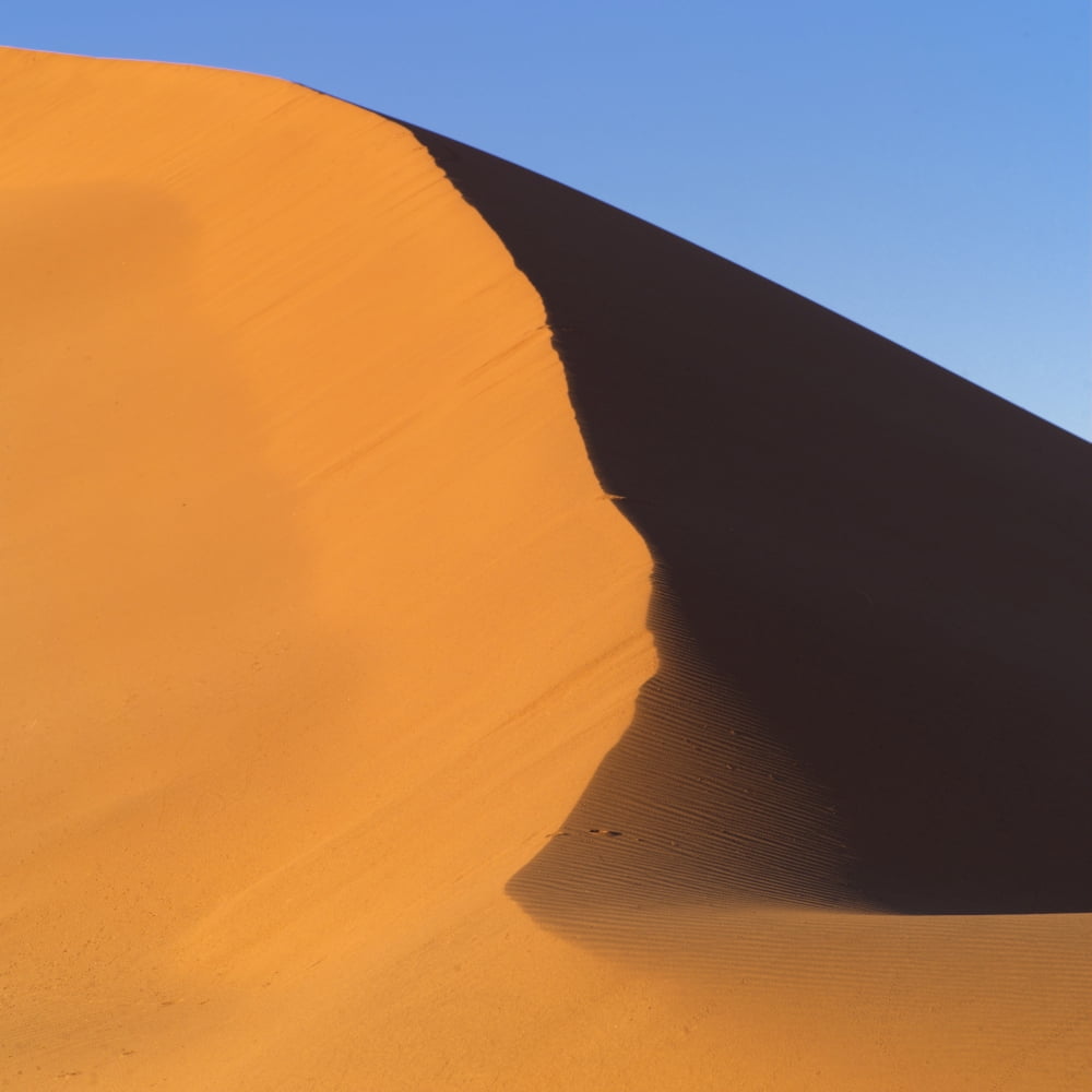 Sand Dune Namibia Africa Canvas Art - Keith Levit Design Pics (15 x 15)