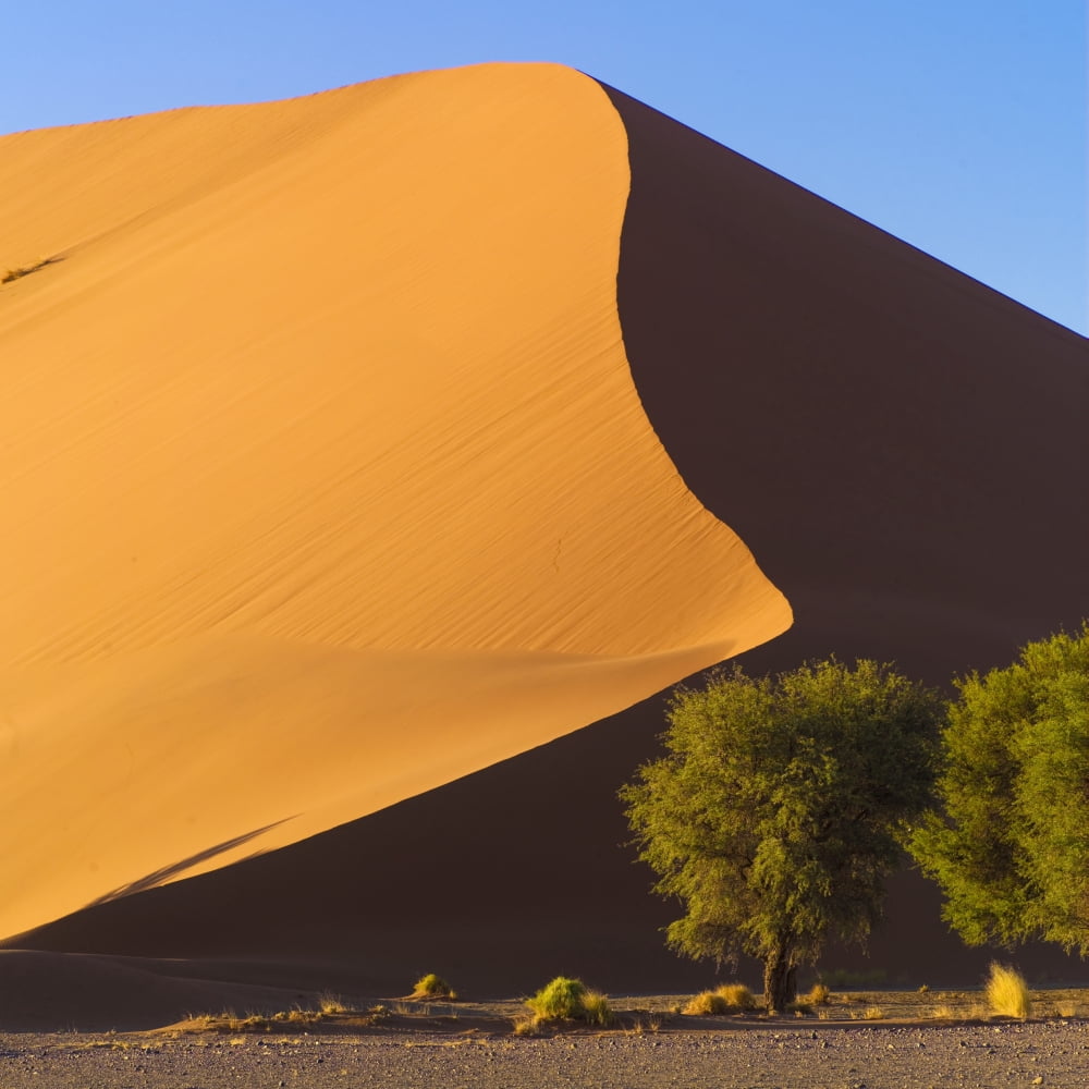 Sand Dune Namibia Africa Canvas Art - Keith Levit  Design Pics (15 x 15)