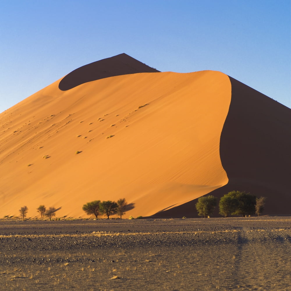 Sand Dune Namibia Africa Canvas Art - Keith Levit Design Pics (24 x 24)
