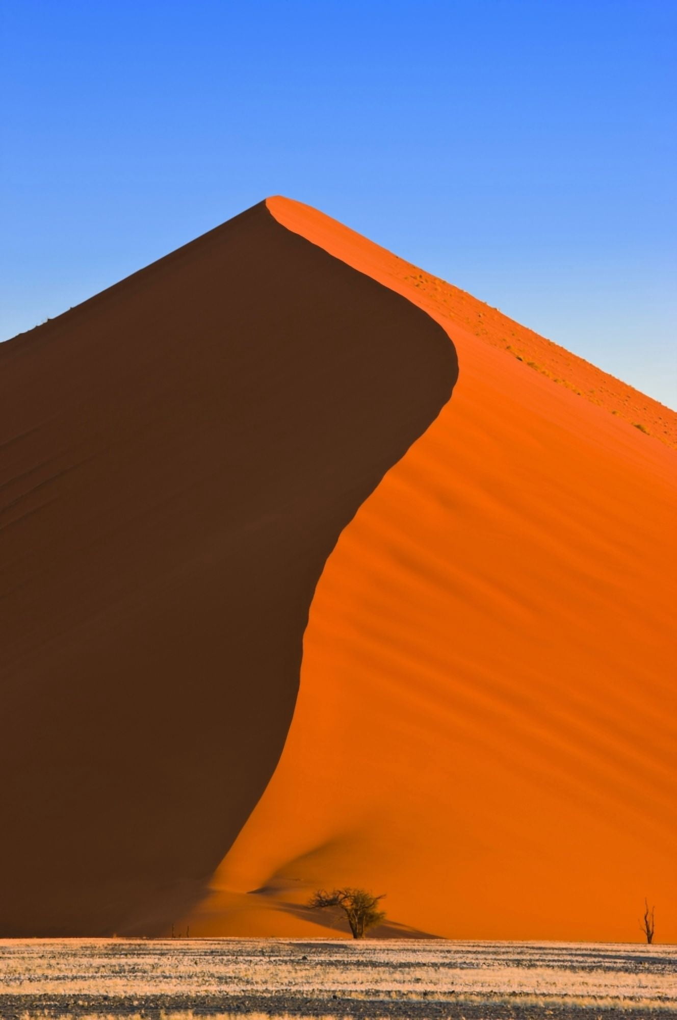 Sand Dune Sossusvlei Namib Desert Namibia Africa Canvas Art - Carson Ganci Design Pics (12 x 19)