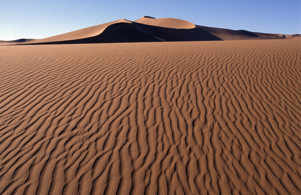 Sand Dunes Against Clear Sky In Namib-Naukluft National Park Canvas Art - Sasha Gusov Design Pics (19 x 12)